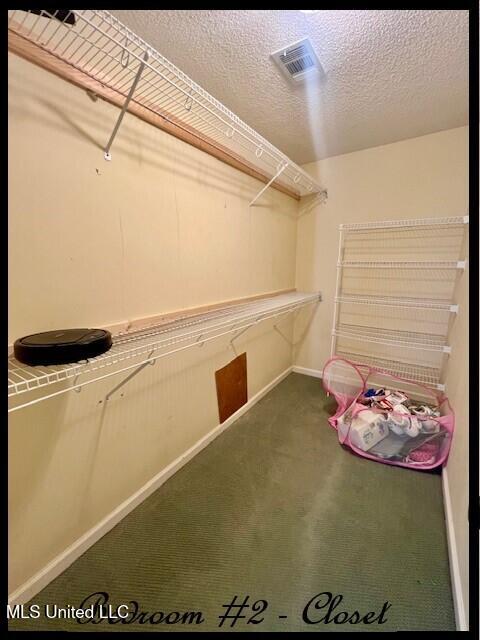 4790 Conner Drive Hernando, MS 38632 - Photo 37 of 58 4790 CONNER - BR 2 - CLOSET