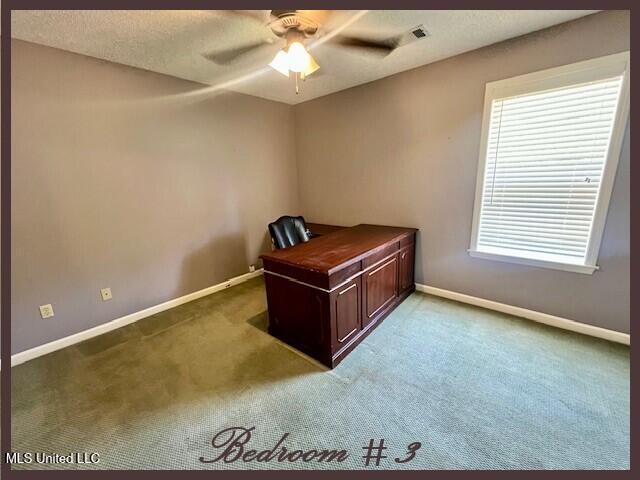 4790 Conner Drive Hernando, MS 38632 - Photo 38 of 58 4790 CONNER - BR 3 - 1