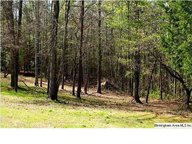 335 Cove Shocco Road Talladega, AL 35160 - Photo 13 of 24