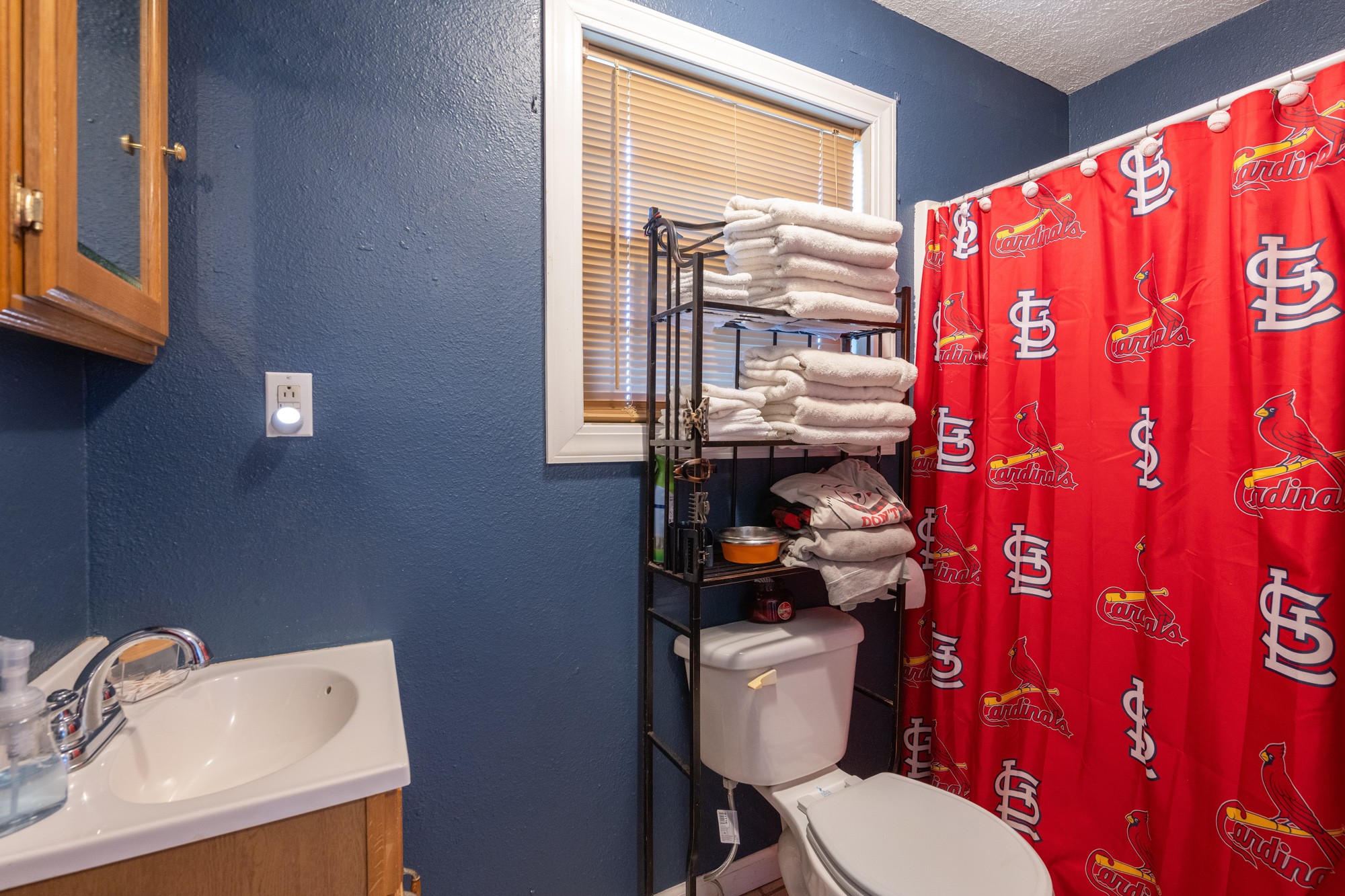 1354 Brandon Road Huntingdon, TN 38344 - Photo 23 of 37 a white toilet sitting next to a bathroom sink