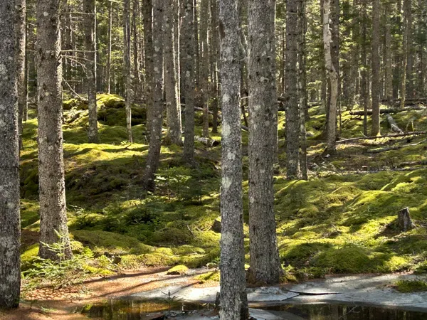 $575,000 | 510 Grand Marsh Bay Road, Gouldsboro, ME 04624