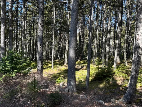 $575,000 | 510 Grand Marsh Bay Road, Gouldsboro, ME 04624