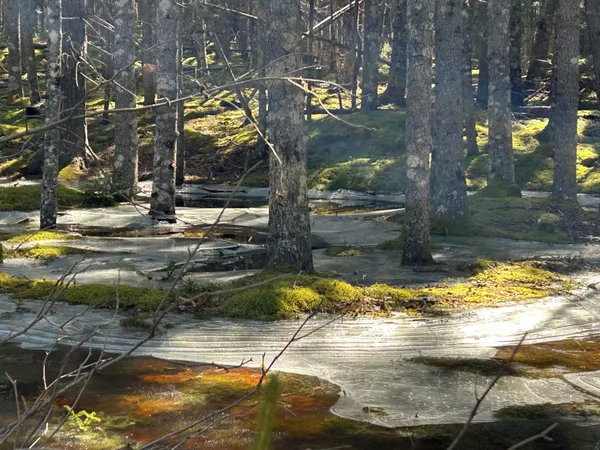 $575,000 | 510 Grand Marsh Bay Road, Gouldsboro, ME 04624