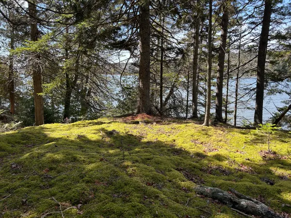 $575,000 | 510 Grand Marsh Bay Road, Gouldsboro, ME 04624