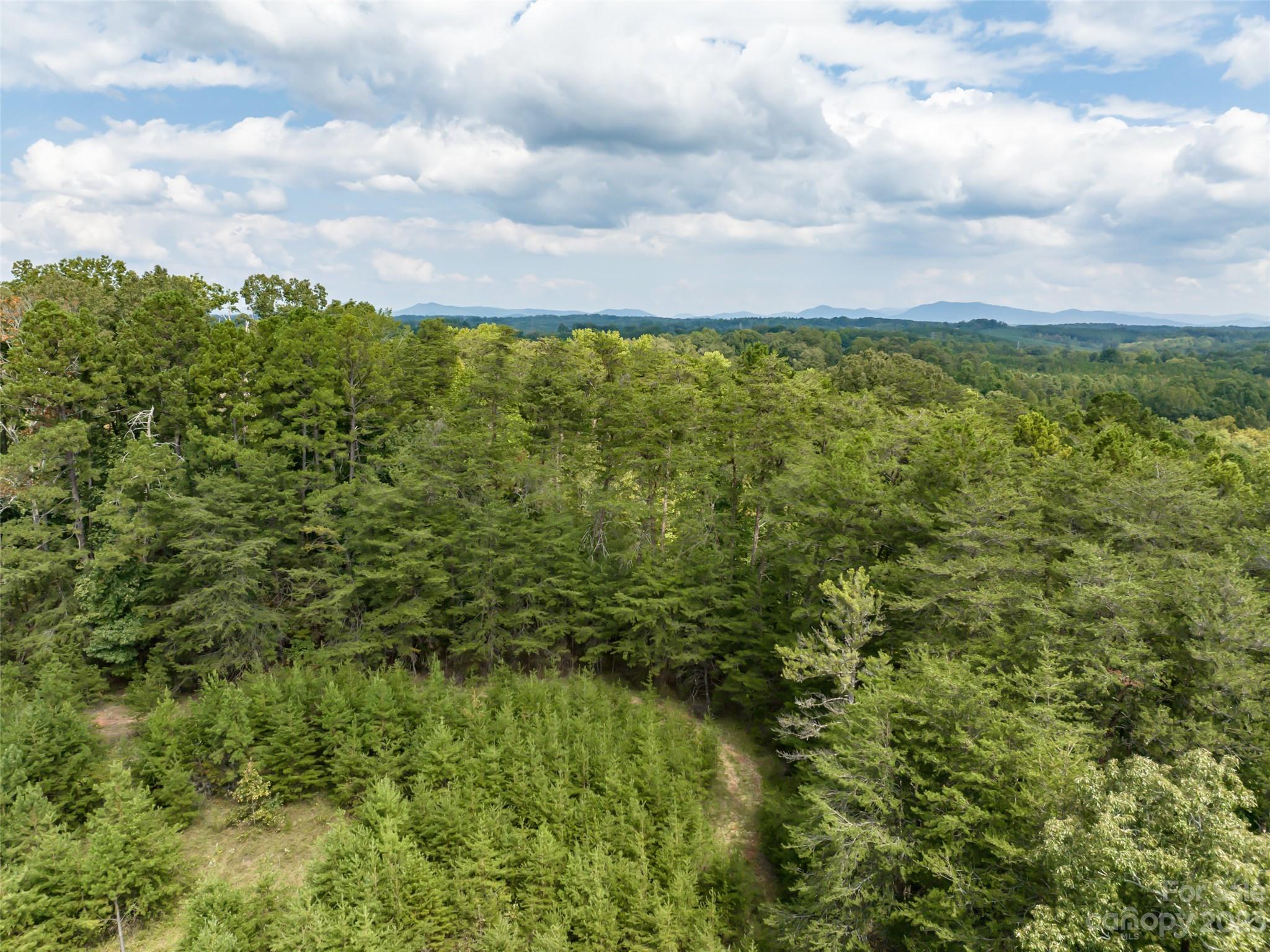 1074 Old Ballpark Road Spindale, NC 28160 - Photo 12 of 20 a view of a bunch of trees