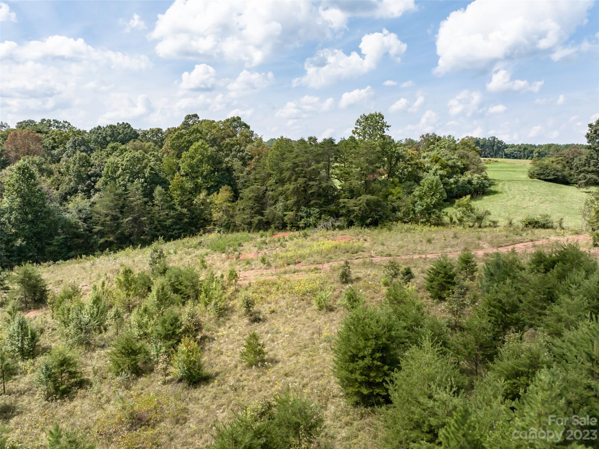 1074 Old Ballpark Road Spindale, NC 28160 - Photo 13 of 20 a view of a bunch of trees and bushes