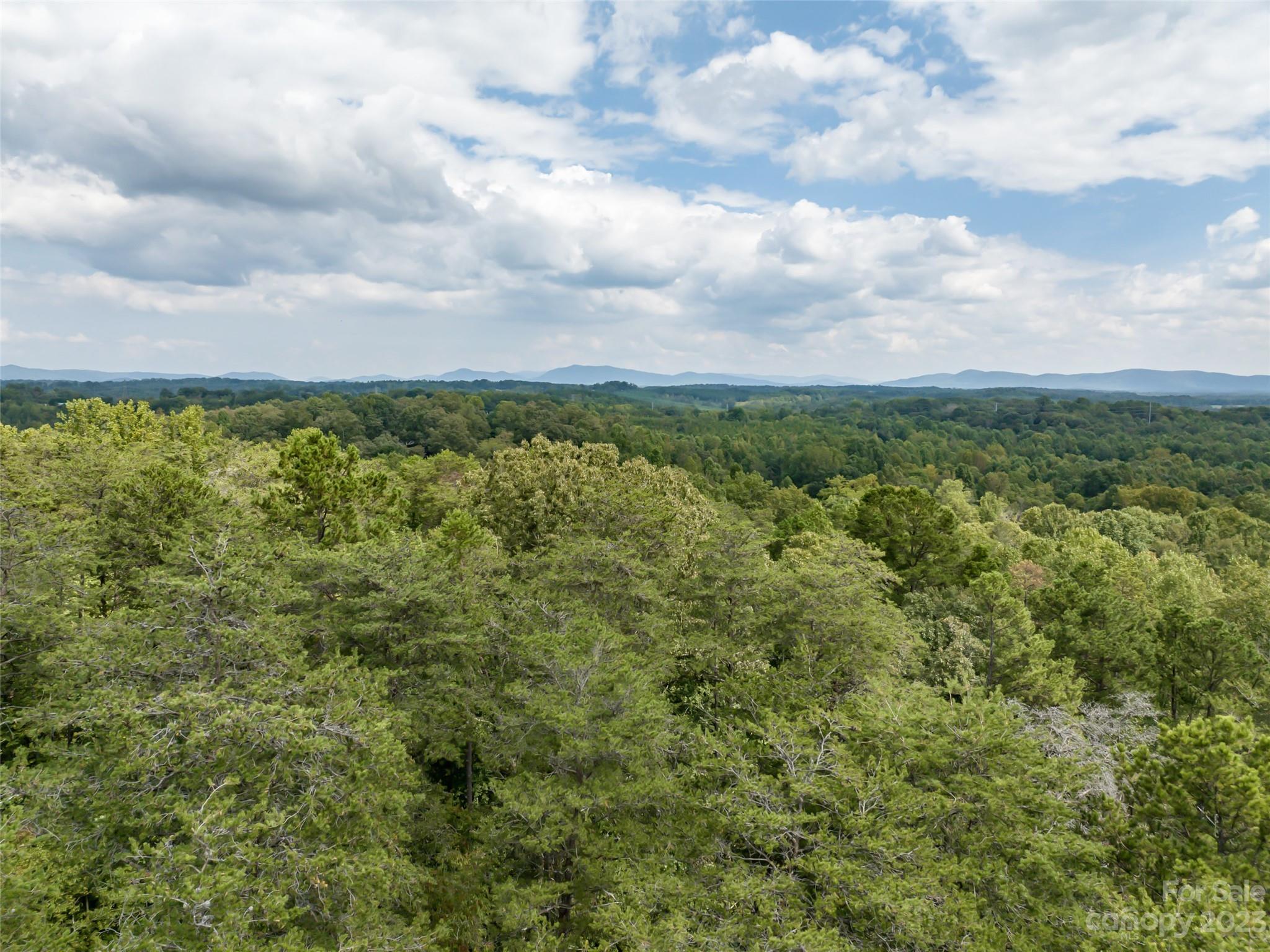 1074 Old Ballpark Road Spindale, NC 28160 - Photo 14 of 20 a view of a bunch of trees