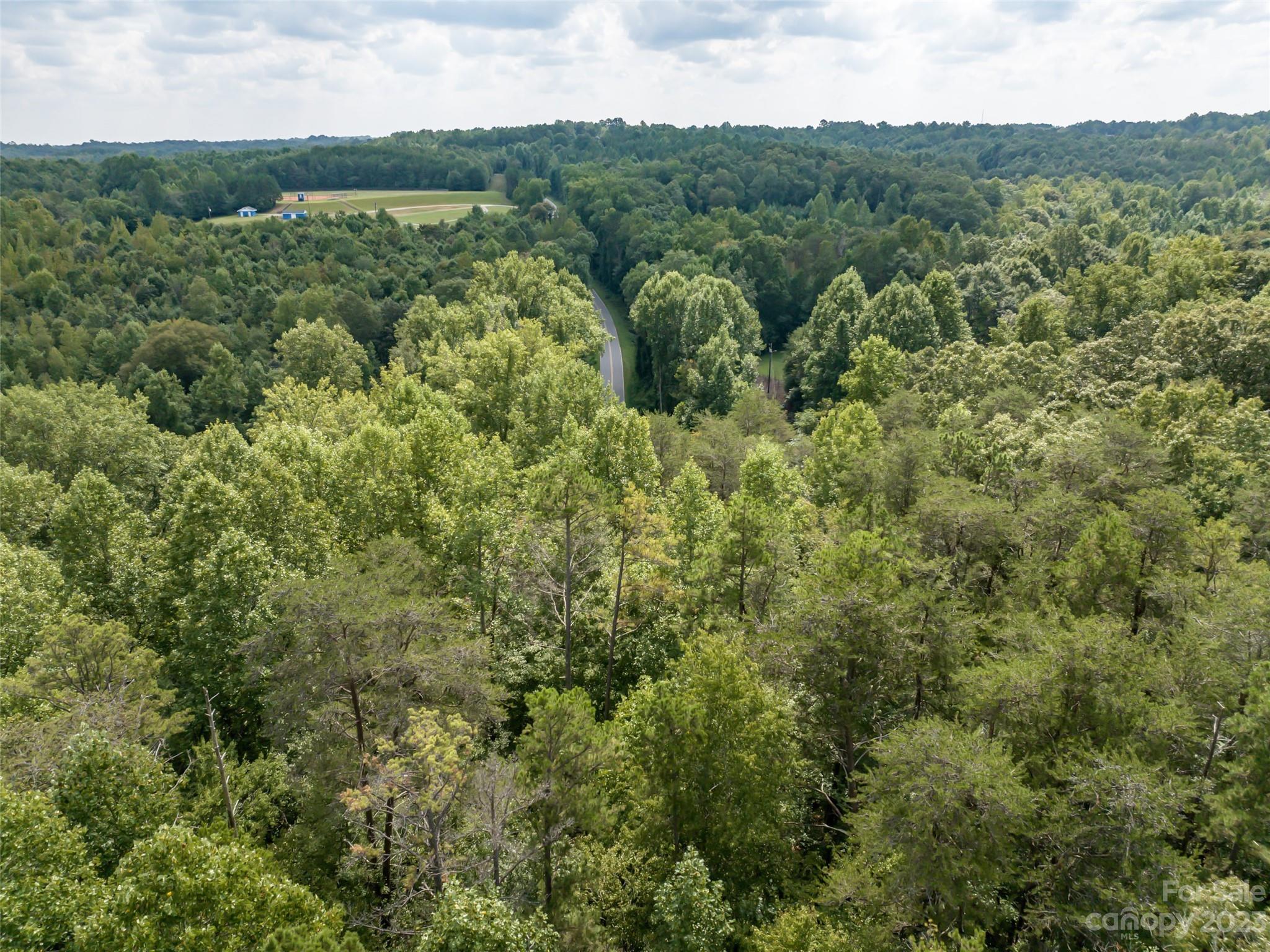 1074 Old Ballpark Road Spindale, NC 28160 - Photo 15 of 20 a view of a forest with a street