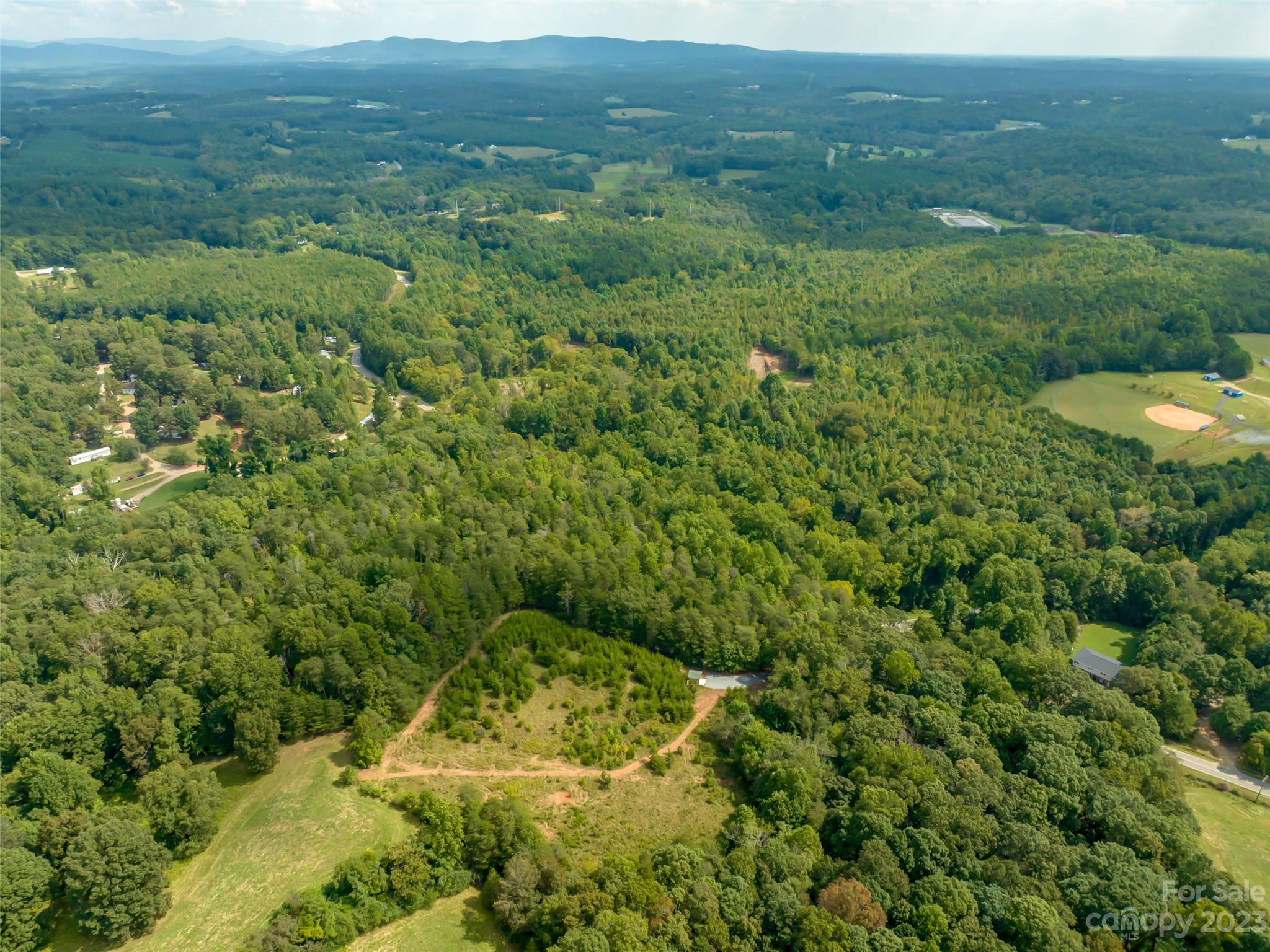 1074 Old Ballpark Road Spindale, NC 28160 - Photo 5 of 20 a view of a lush green forest with lots of trees