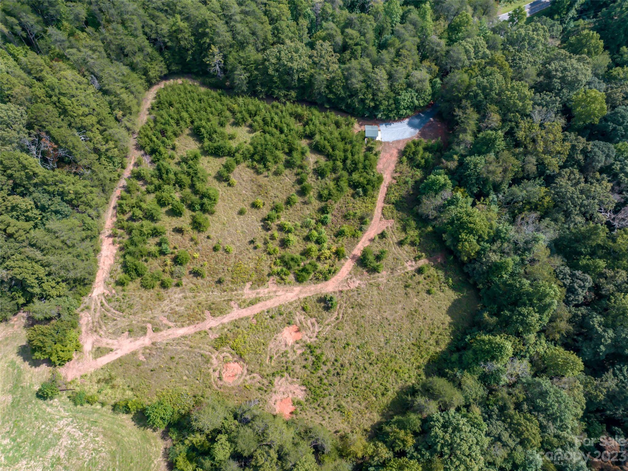 1074 Old Ballpark Road Spindale, NC 28160 - Photo 7 of 20 a plant with lots of trees