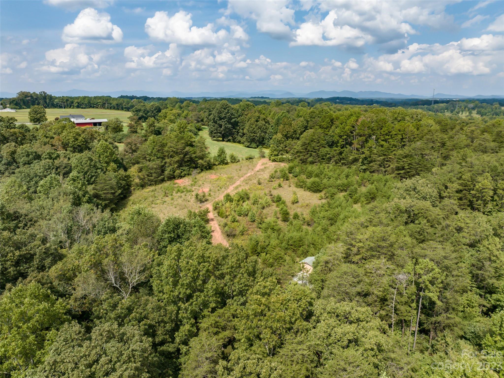 1074 Old Ballpark Road Spindale, NC 28160 - Photo 9 of 20 a view of a bunch of plants and trees