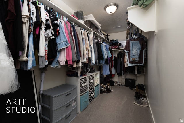 1713 South Windemere Road Santaquin, UT 84655 - Photo 15 of 40 Expansive walk-in closet featuring built-in shelving, multiple hanging rods, durable carpeting, and a flush-mount ceiling light fixture