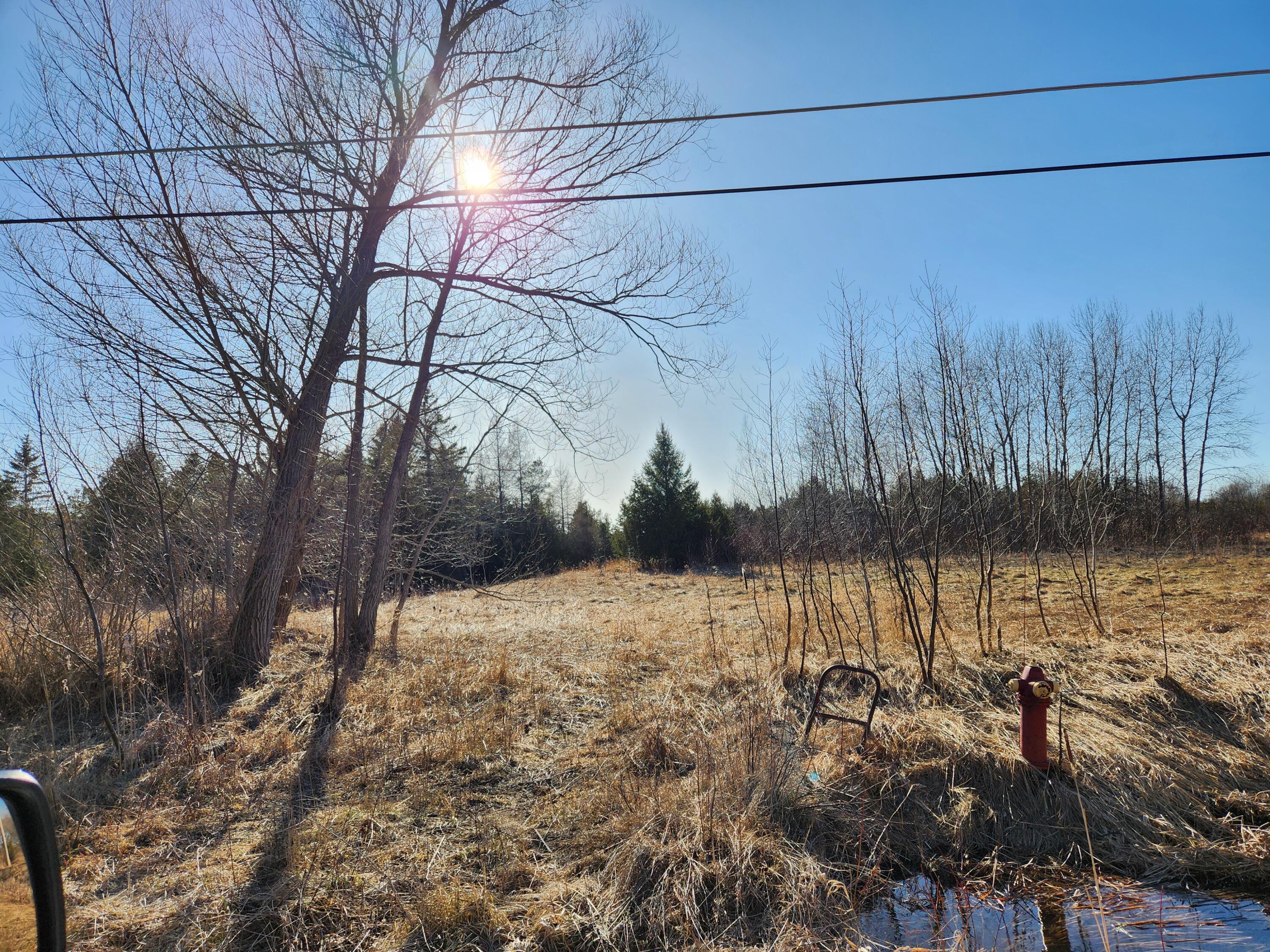13425 Butler Road Cheboygan, MI 49721 - Photo 9 of 27 Gallery Image 9