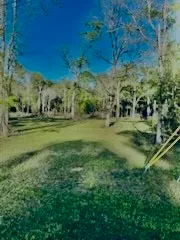 a view of a grassy area with an trees