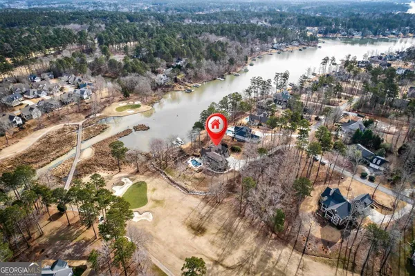 a living room with furniture flowerpot and a chandelier