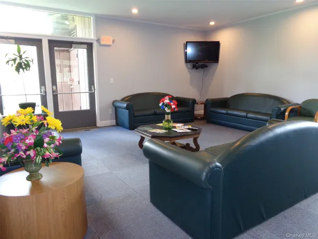 a view of a park with a tree