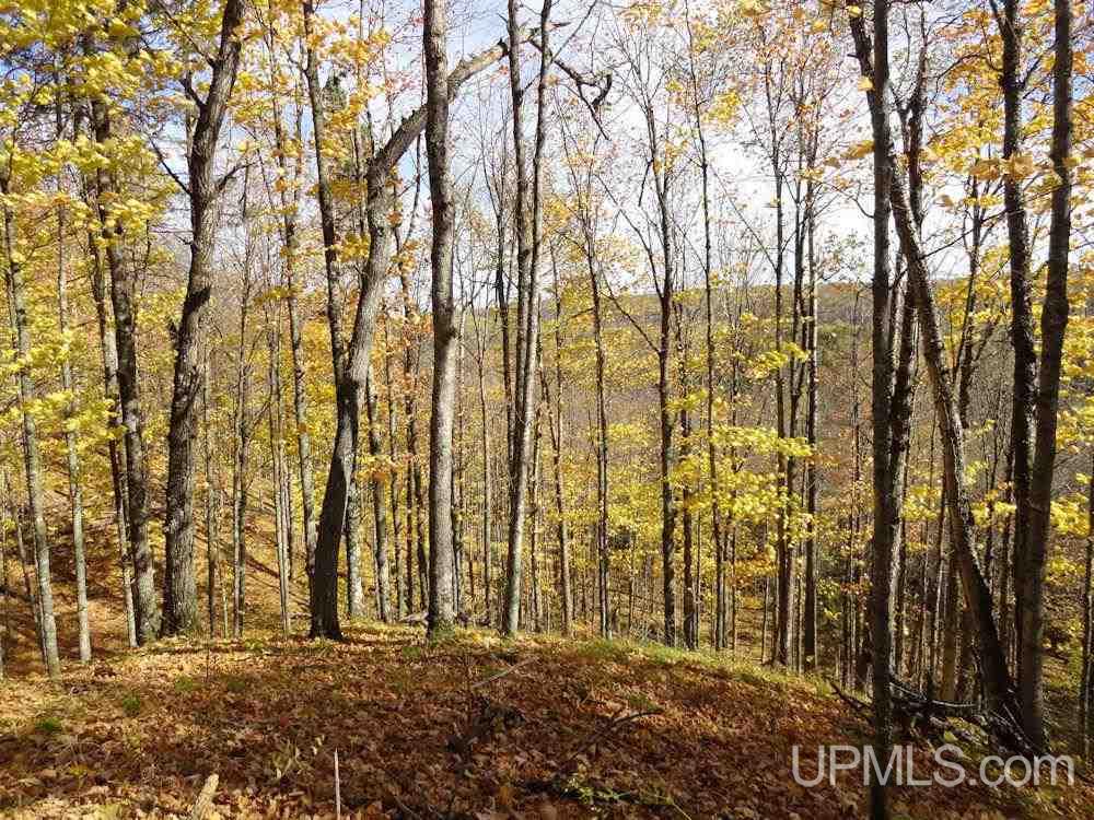Paint River Parks Farm Road Crystal Falls, MI 49903 - Photo 21 of 25 Gallery Image 21