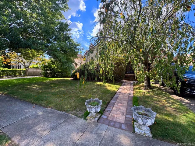 a view of a yard with plants and large trees