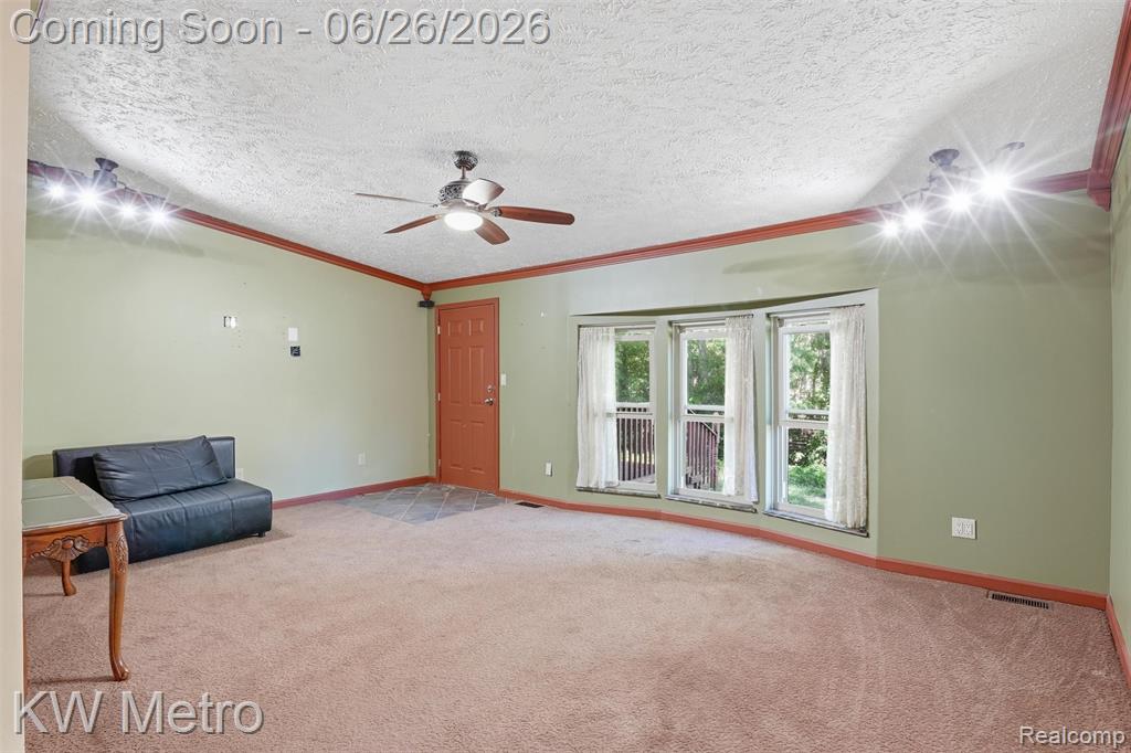 22733 Sumpter Road Belleville, MI 48111 - Photo 4 of 52