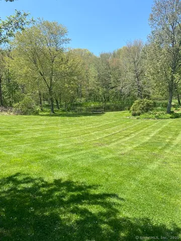 a view of a field with an ocean