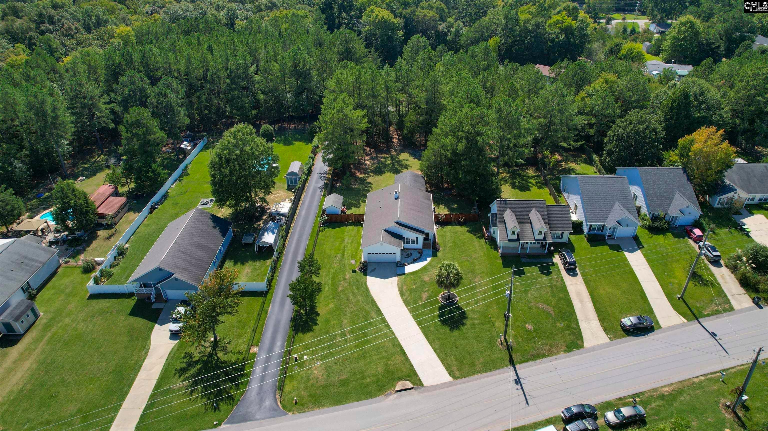 539 Old Bush River Road Chapin, SC 29036 - Photo 48 of 52 Gallery Image 48