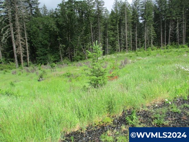 0 Northwest Fairdale Road Yamhill, OR 97148 - Photo 6 of 27