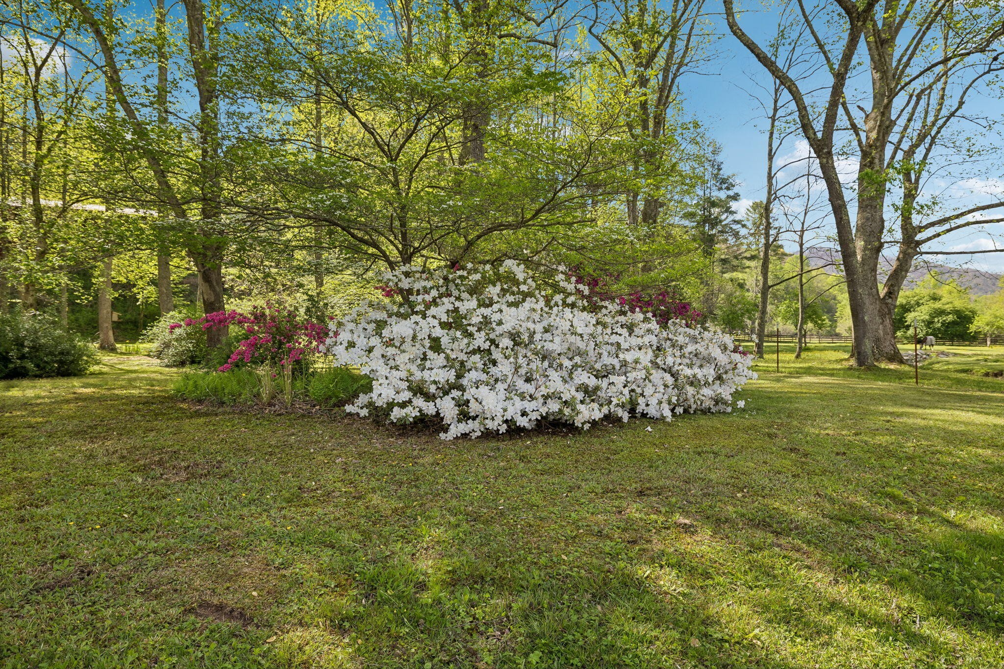 1532 Turkey Creek Road Tellico Plains, TN 37385 - Photo 62 of 65