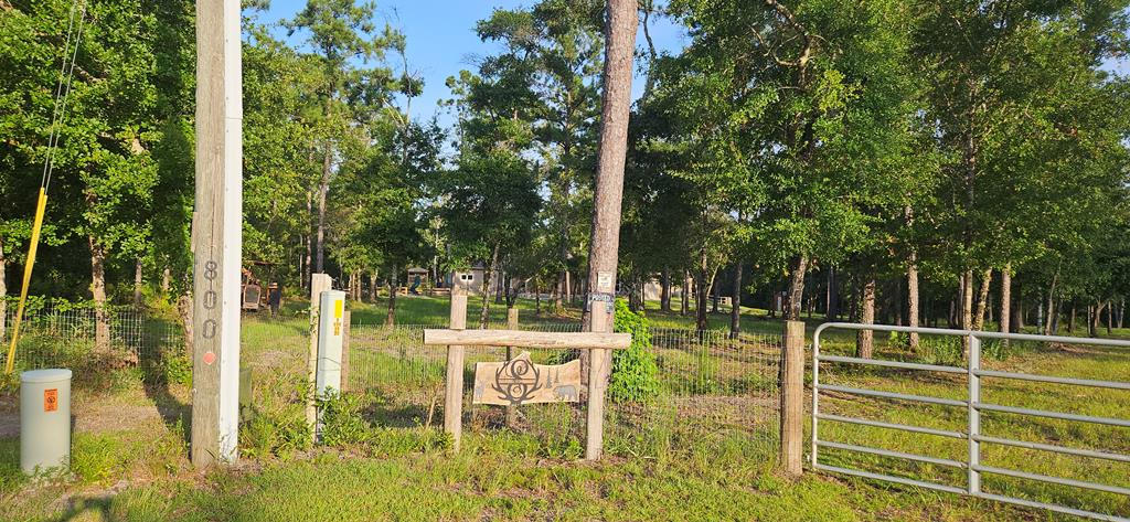 800 Hickory Hammock Road Carrabelle, FL 32322 - Photo 3 of 96