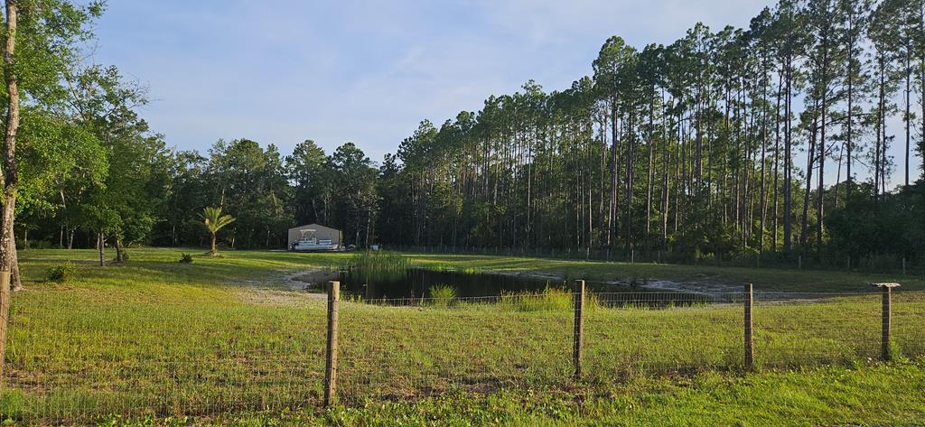 800 Hickory Hammock Road Carrabelle, FL 32322 - Photo 78 of 96