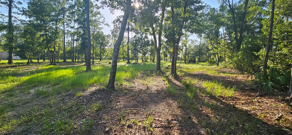 800 Hickory Hammock Road Carrabelle, FL 32322 - Photo 79 of 96