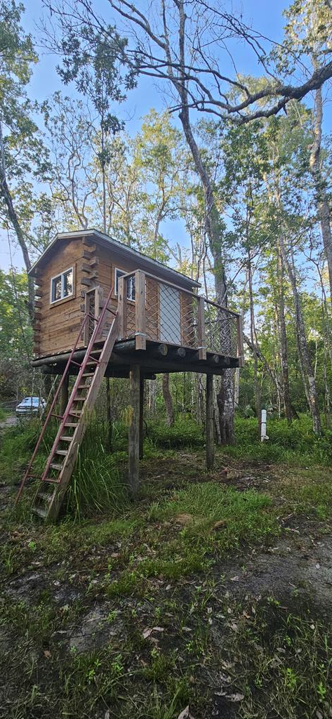 800 Hickory Hammock Road Carrabelle, FL 32322 - Photo 90 of 96
