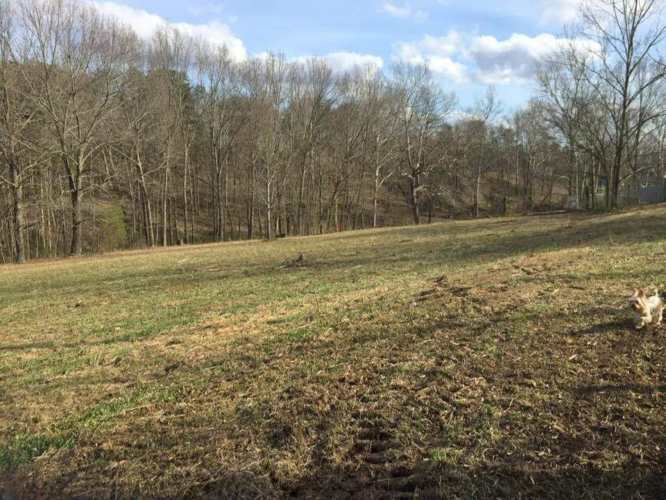 999 Dreyfus Road Berea, KY 40403 - Photo 3 of 27 Listing Photo