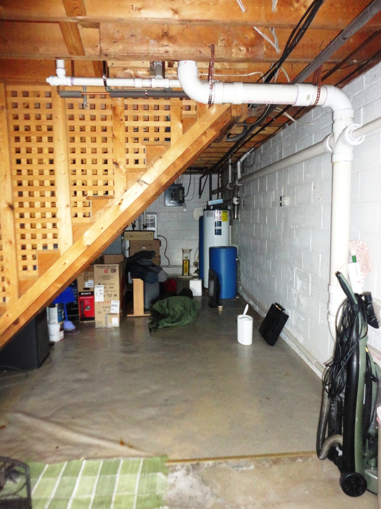 6016 Potts Creek Road Covington, VA 24426 - Photo 24 of 40 extra storage area