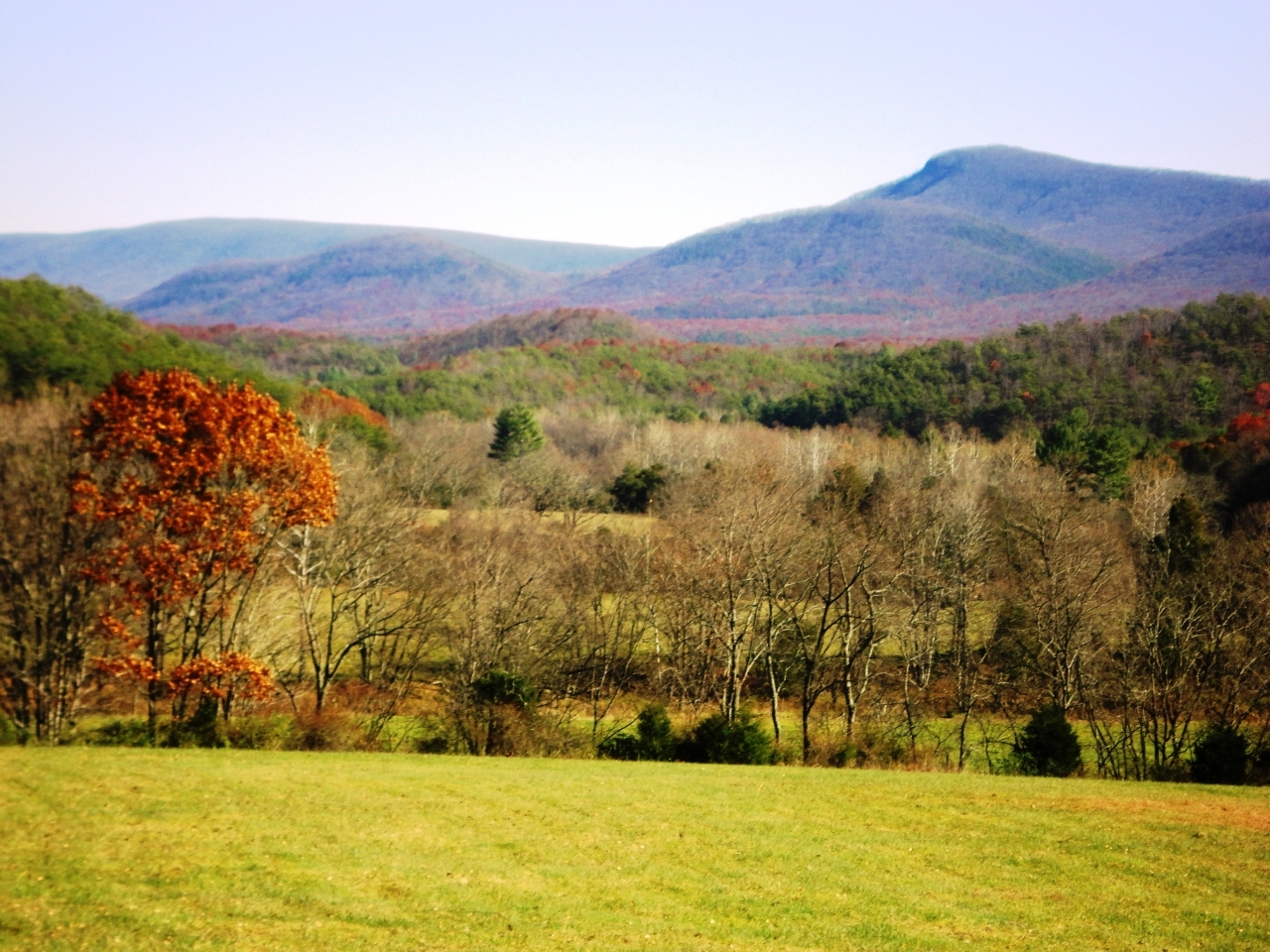 6016 Potts Creek Road Covington, VA 24426 - Photo 29 of 40 9 views zoomed in