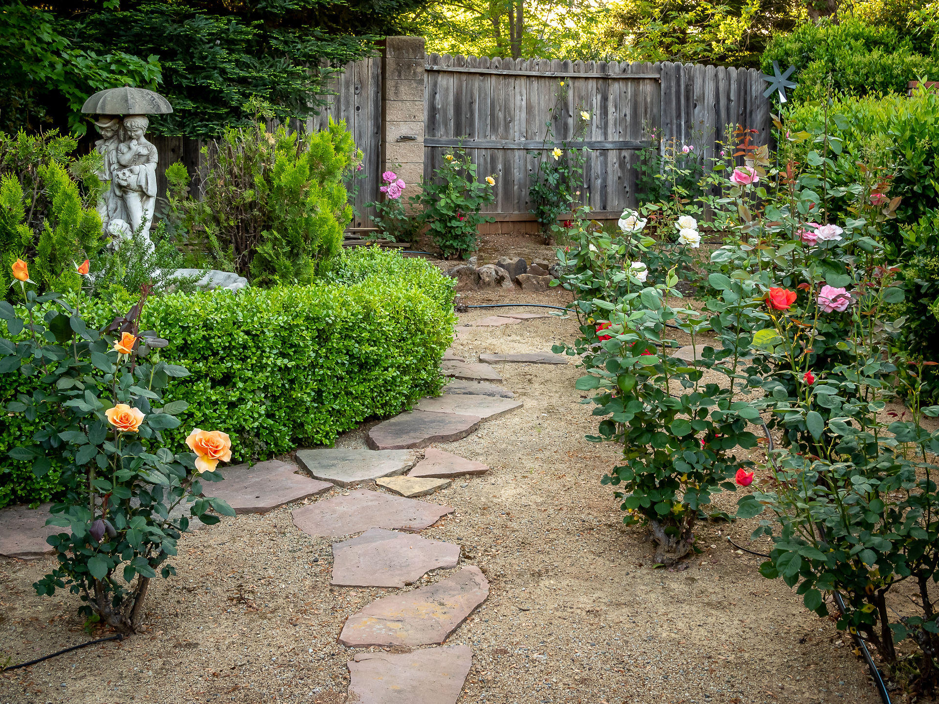 2637 La Rinconada Place Redding, CA 96002 - Photo 48 of 94 Rose garden
