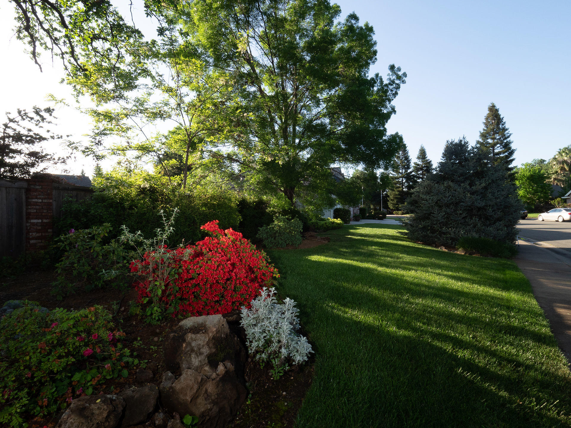 2637 La Rinconada Place Redding, CA 96002 - Photo 58 of 94 Side yard