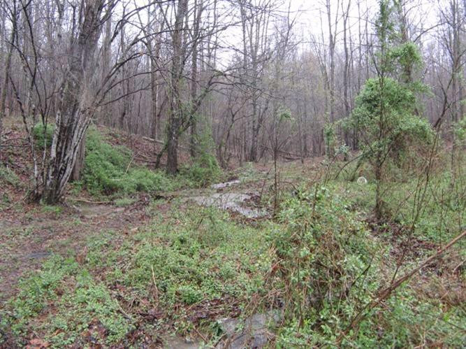 2800 East Fork Road Means, KY 40346 - Photo 9 of 22 Photo 9