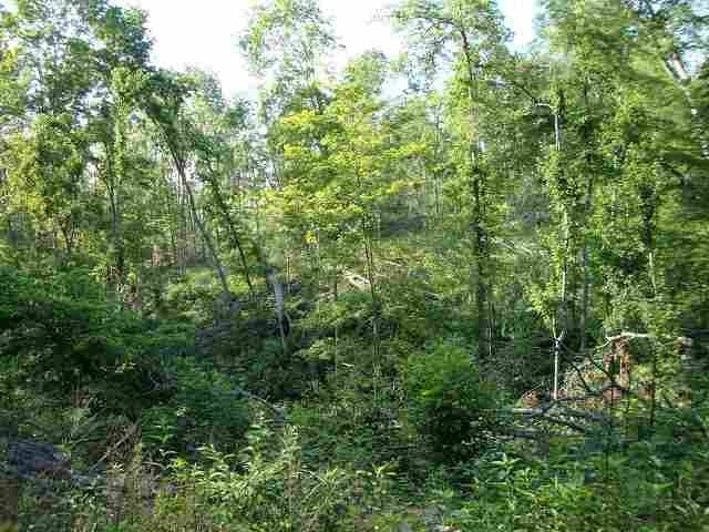 0 Hadley Cohron Road Bowling Green, KY 42101 - Photo 10 of 14 Gallery Image 10