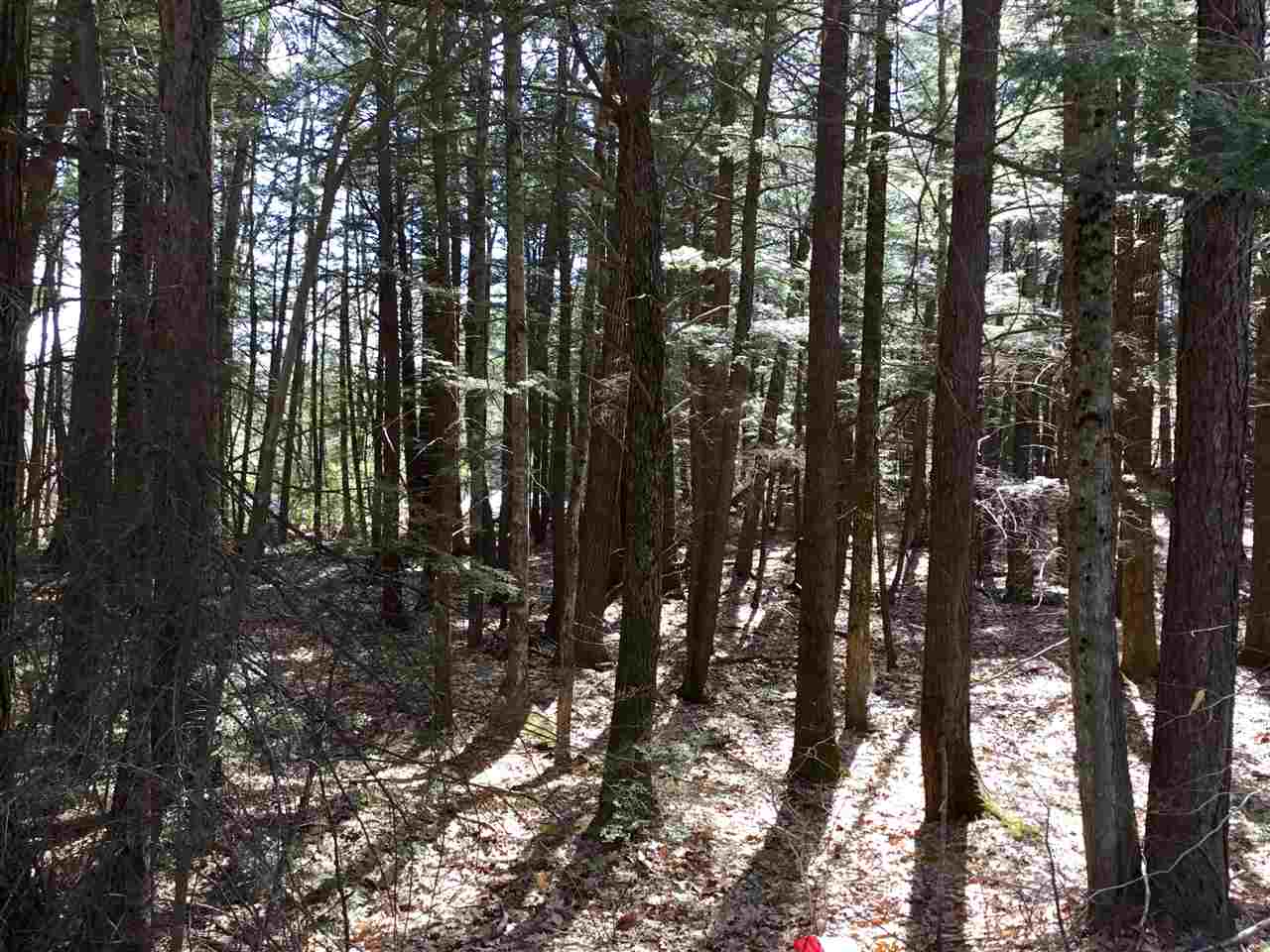 0 Red Eagle Brook Road, Unit 4 Conway, NH 03818 - Photo 2 of 6