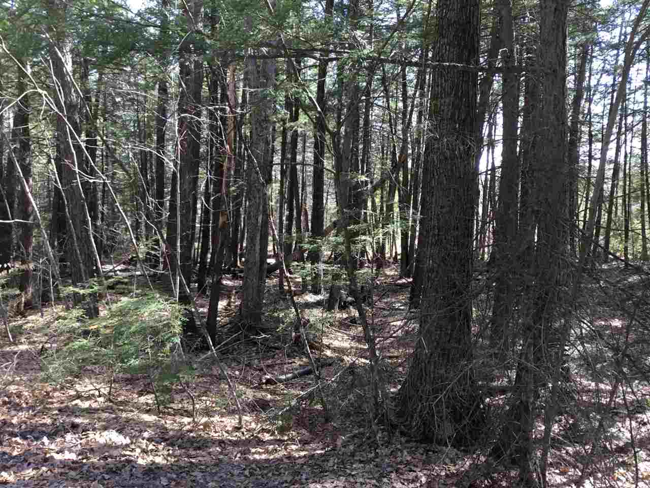 0 Red Eagle Brook Road, Unit 4 Conway, NH 03818 - Photo 3 of 6