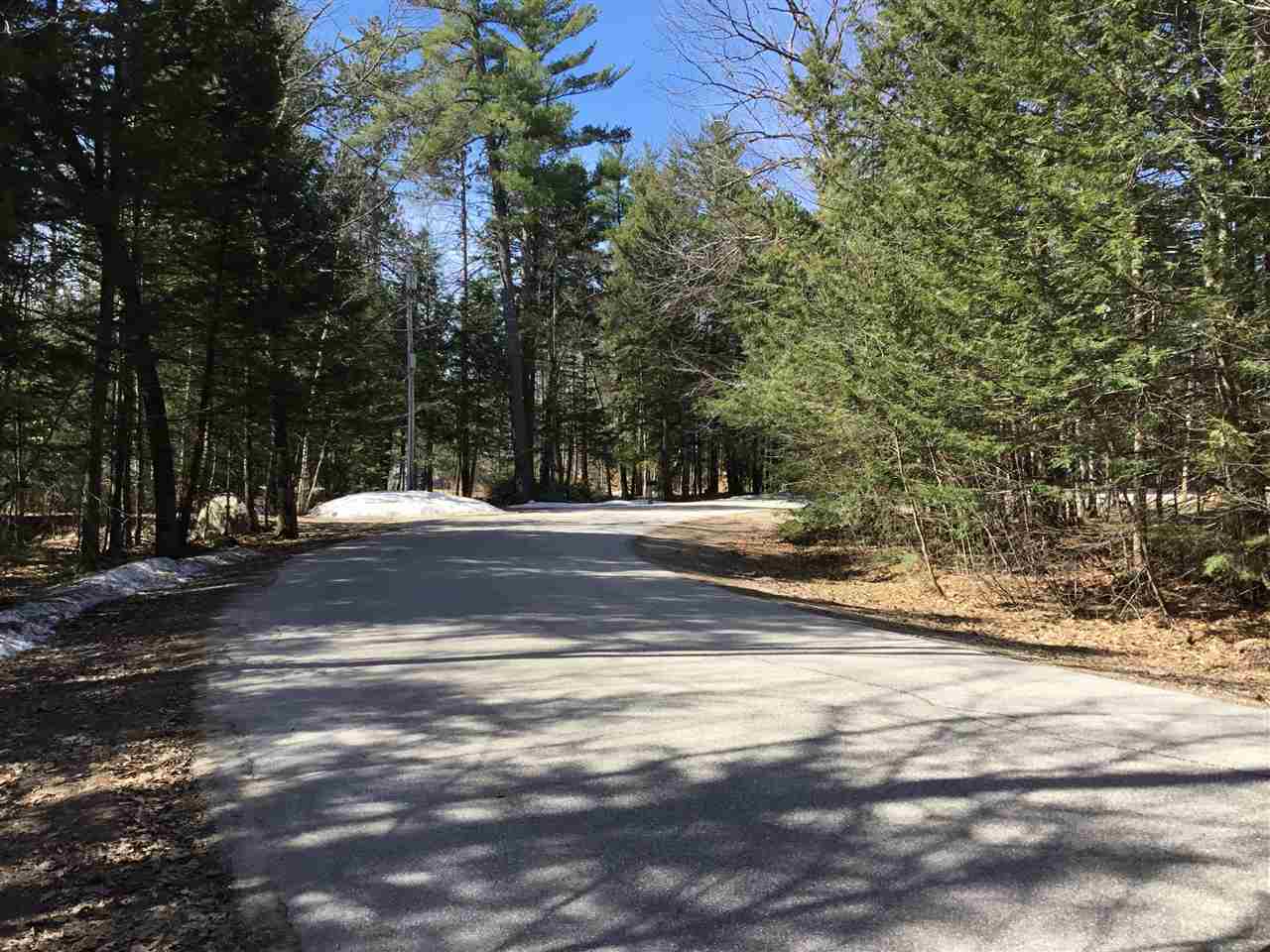 0 Red Eagle Brook Road, Unit 4 Conway, NH 03818 - Photo 5 of 6