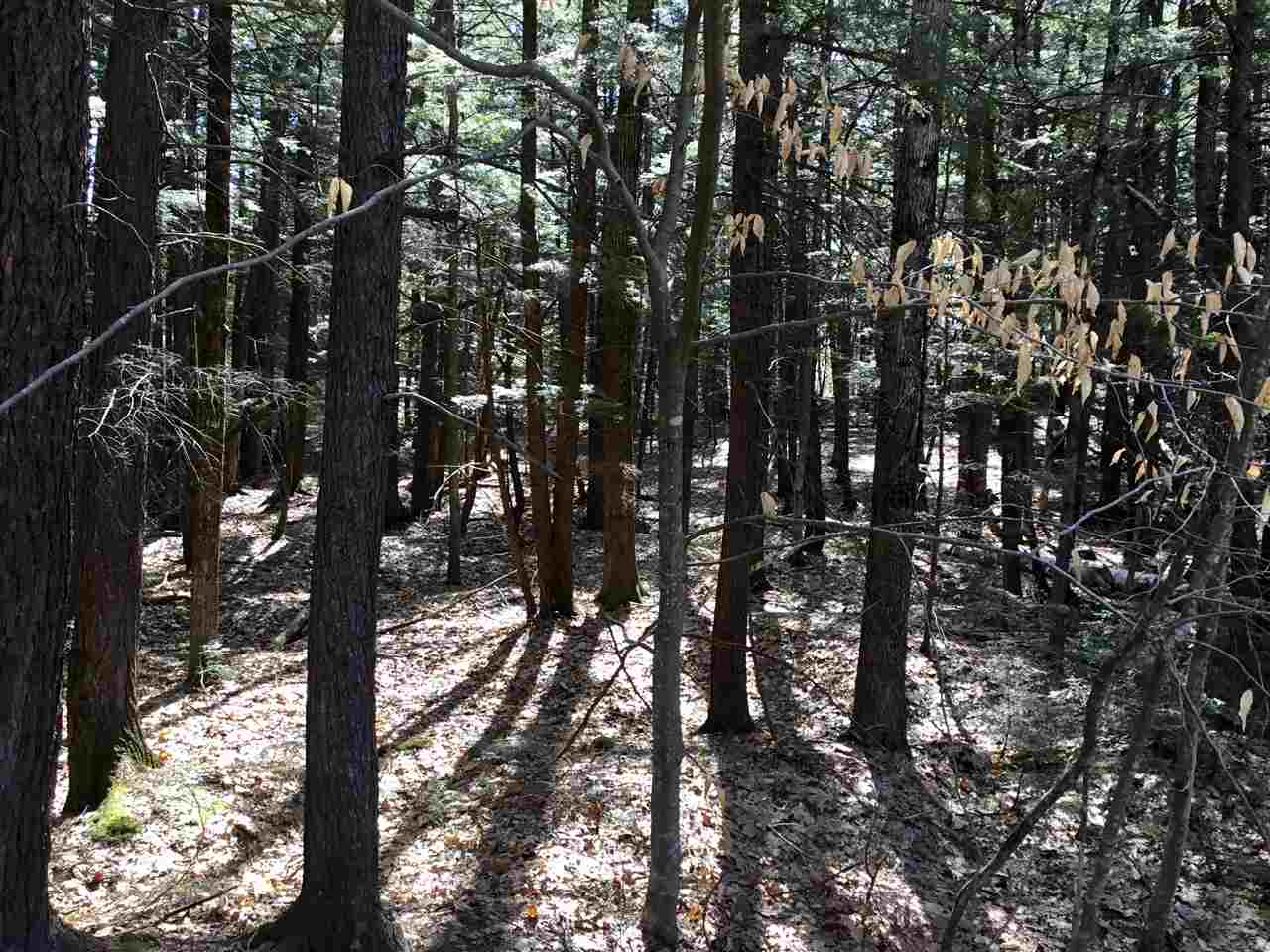 0 Red Eagle Brook Road, Unit 4 Conway, NH 03818 - Photo 6 of 6