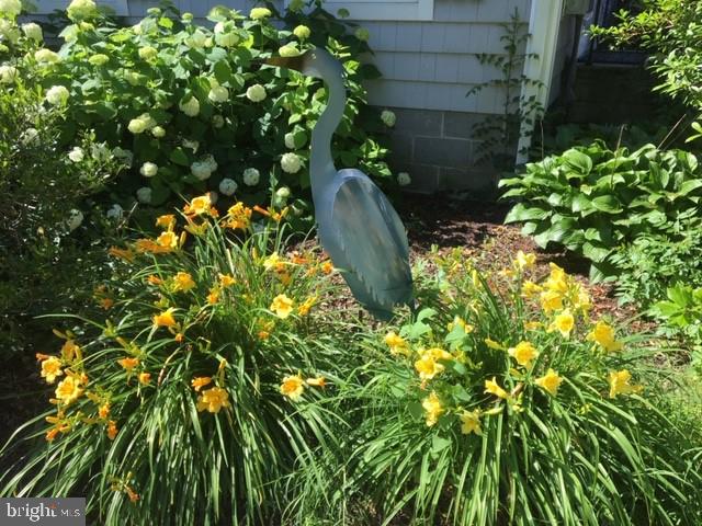 809 Seabreeze Road Cambridge, MD 21613 - Photo 63 of 75 Gallery Image 63