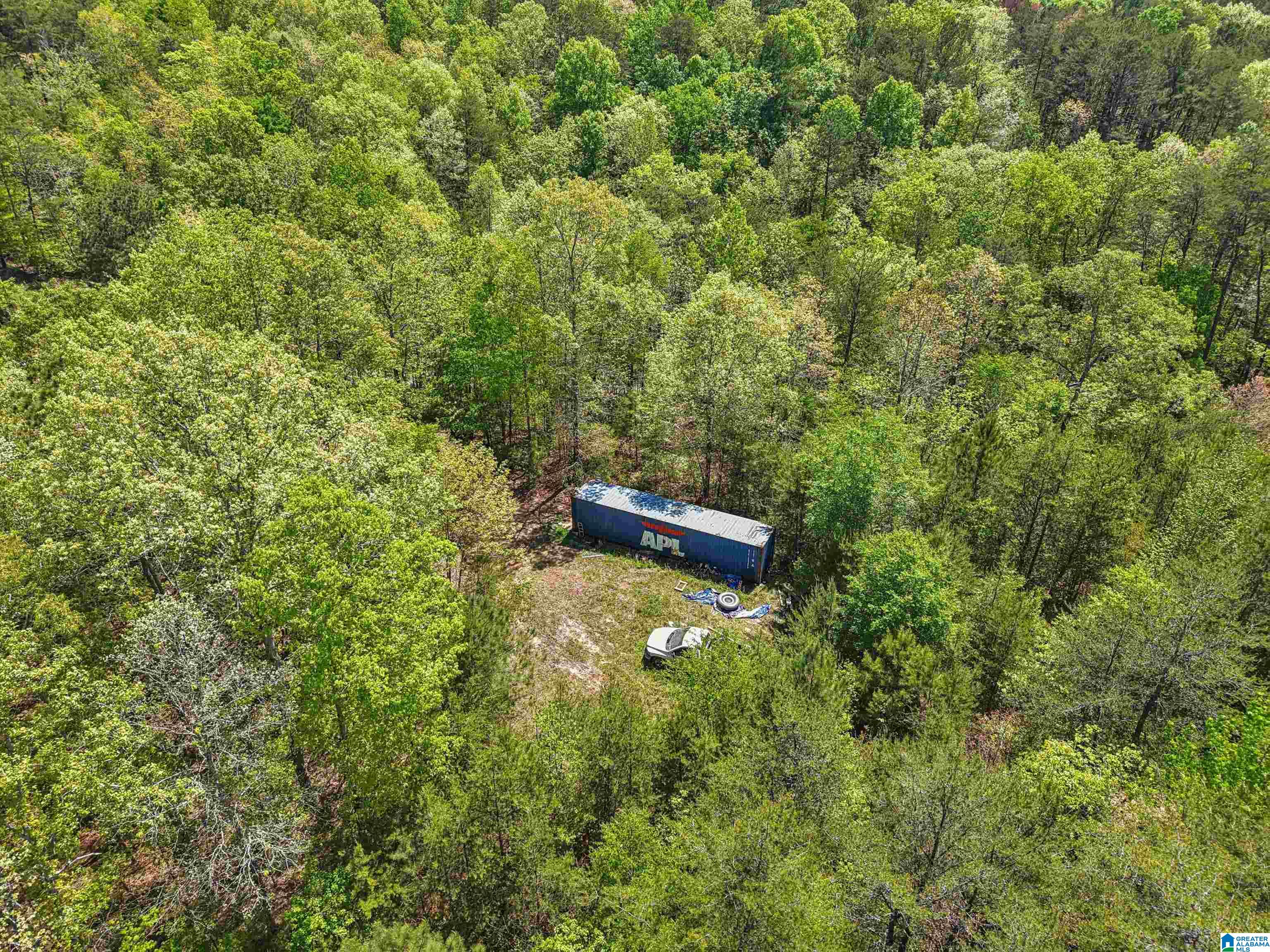 1678 Hays Cemetery Road Hayden, AL 35079 - Photo 12 of 87