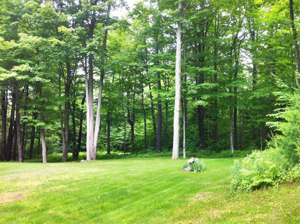 42 Jourdan Road Montgomery, MA 01085 - Photo 29 of 29 a view of outdoor space with deck and yard