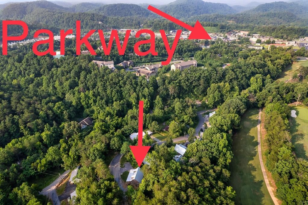 535 Golf Road Pigeon Forge, TN 37863 - Photo 2 of 32