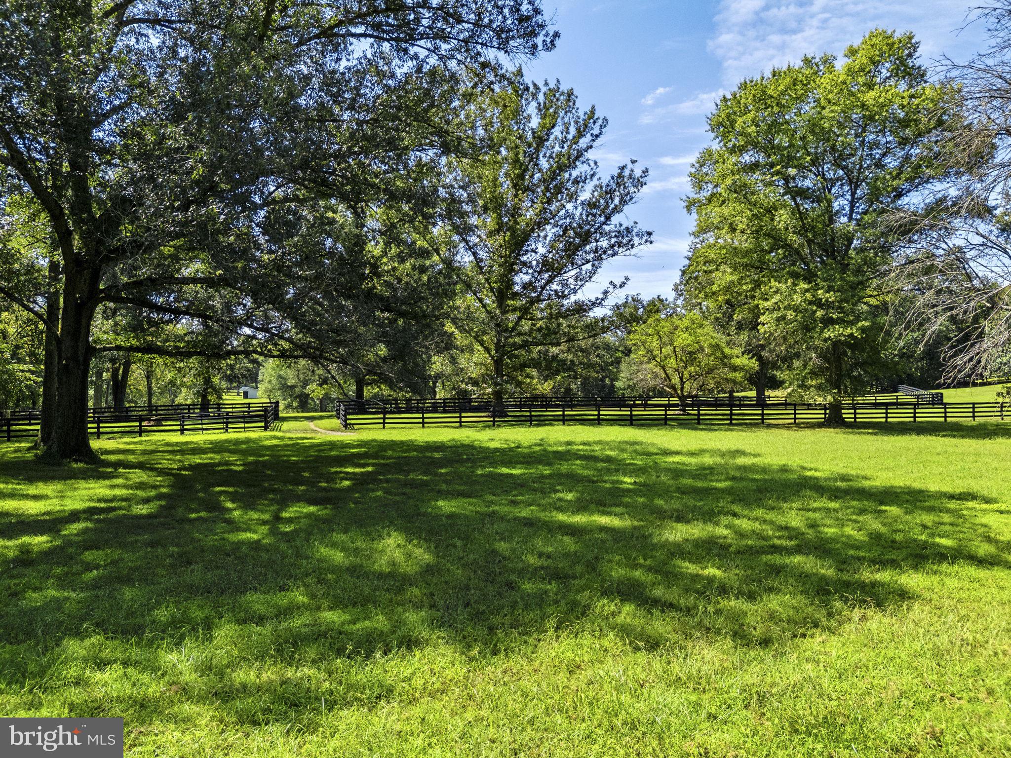 1663 Hatchers Mill Road Marshall, VA 20115 - Photo 55 of 60 View of the large open pastures