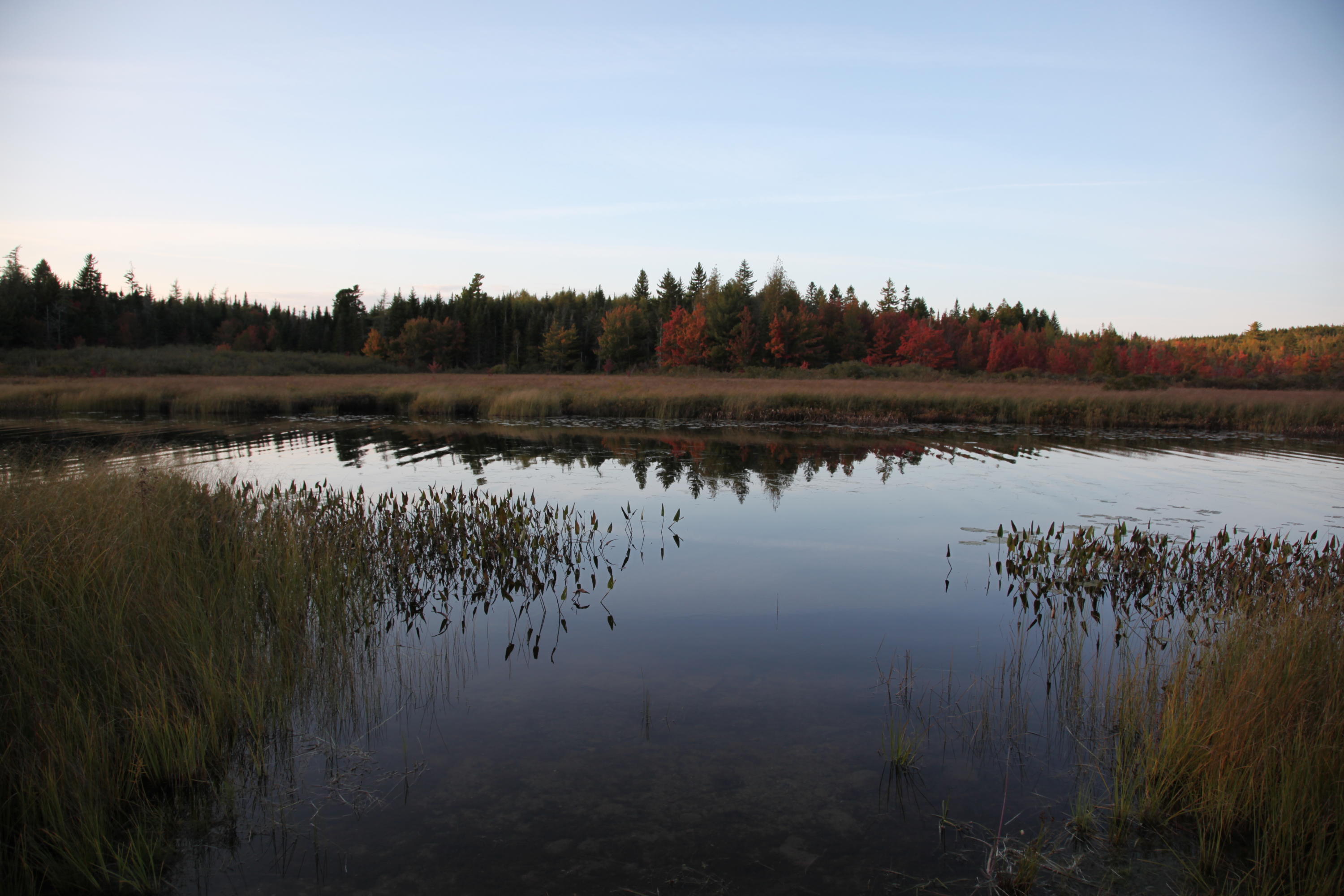190 Orange Lake Road Whiting, ME 04691 - Photo 31 of 72 IMG_0697