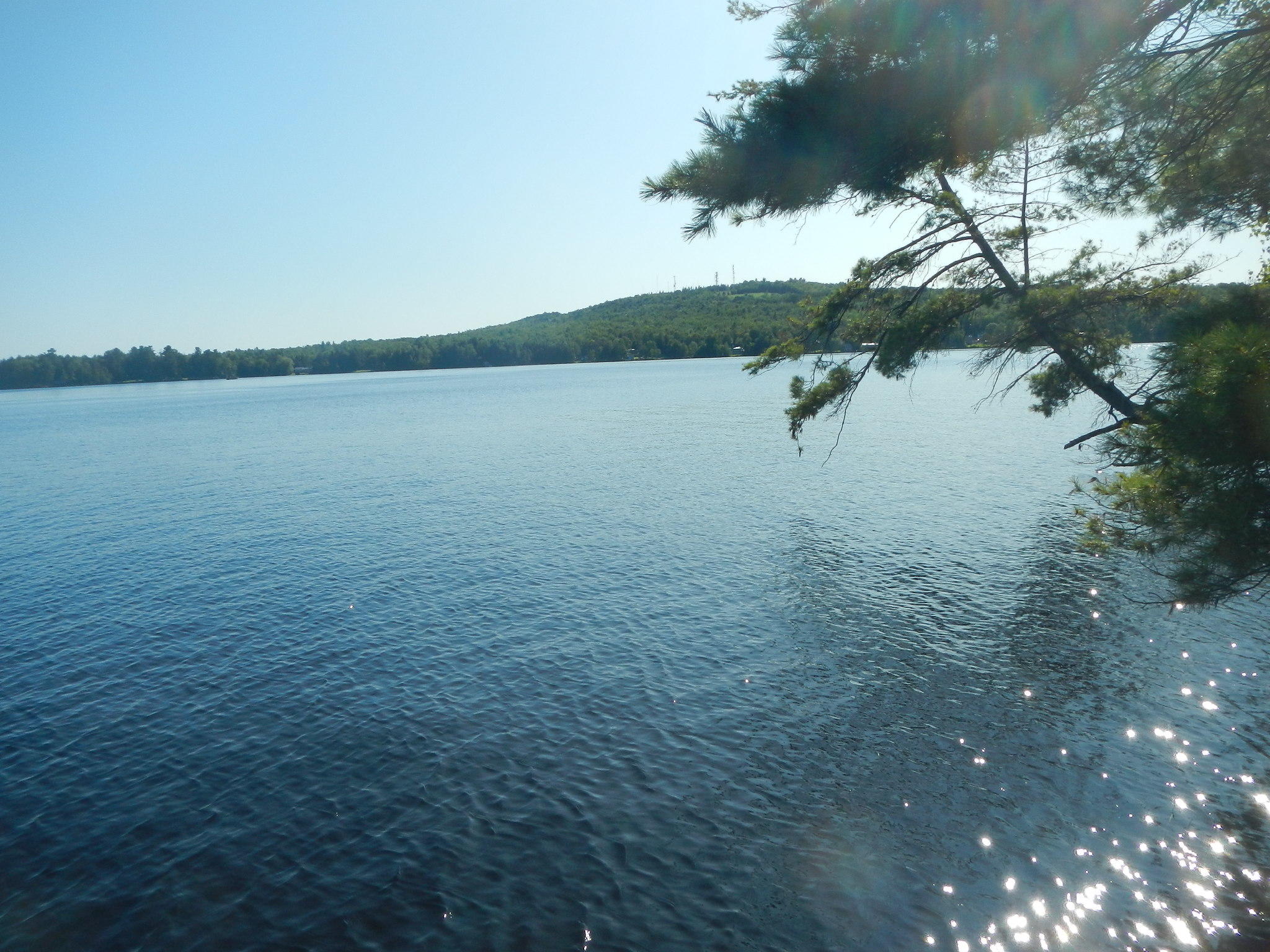 44 Aldrich Point Road Lincoln, ME 04457 - Photo 27 of 36 DSCN7411