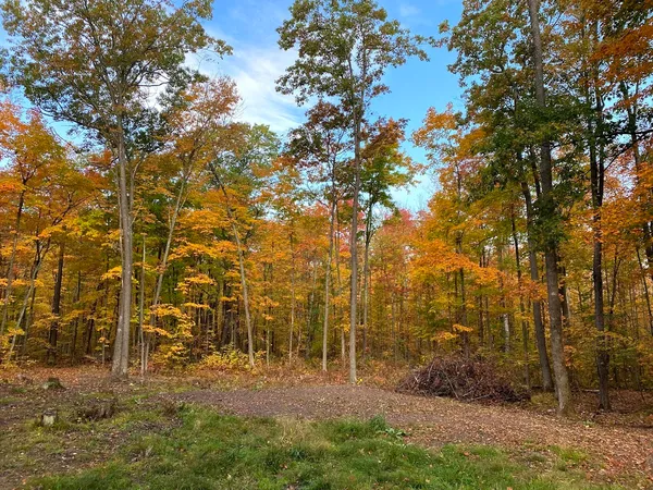 $89,000 | 15846 Pank Road, Stone Lake, WI 54876